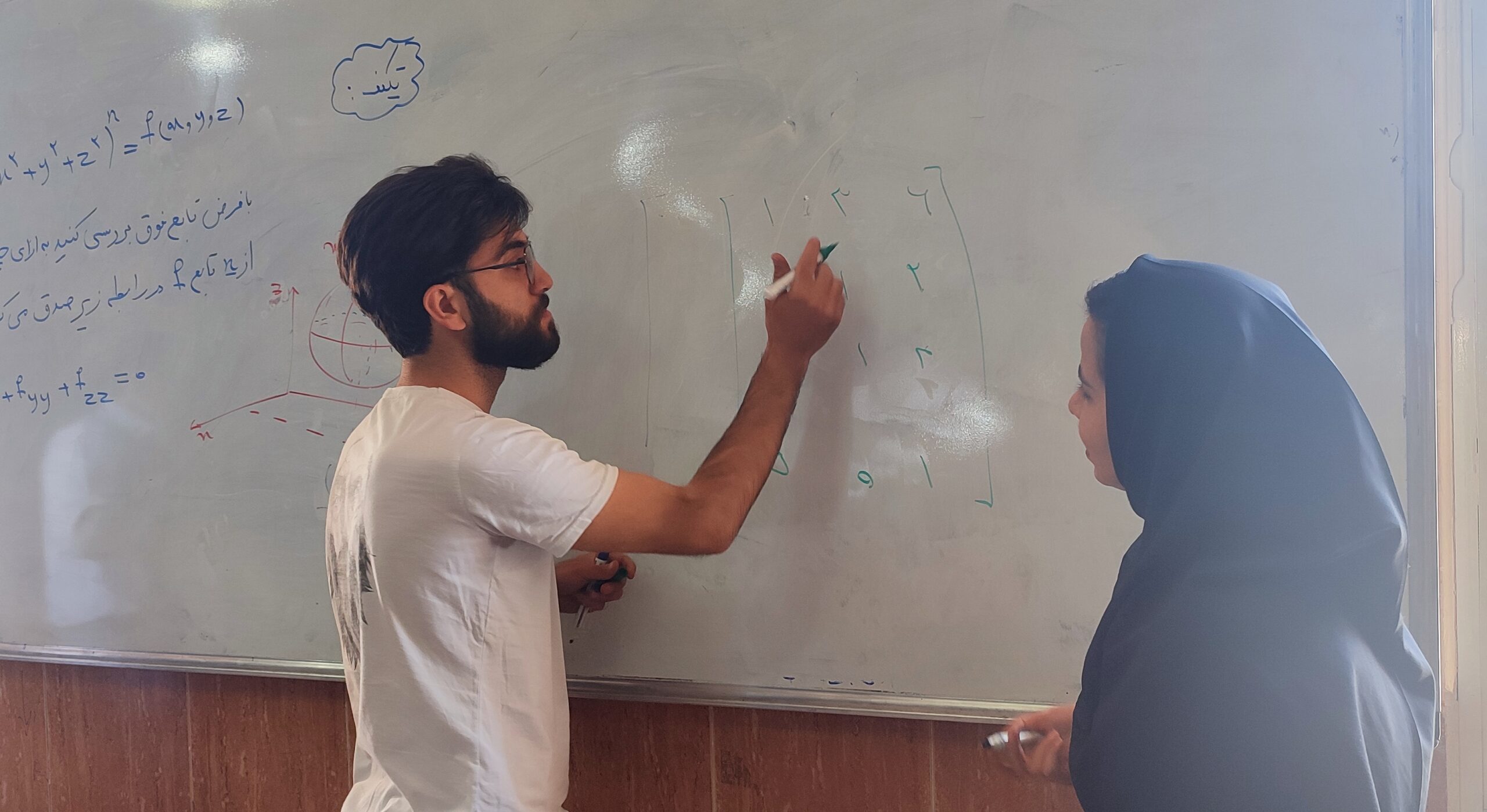 سارا میرحسینی